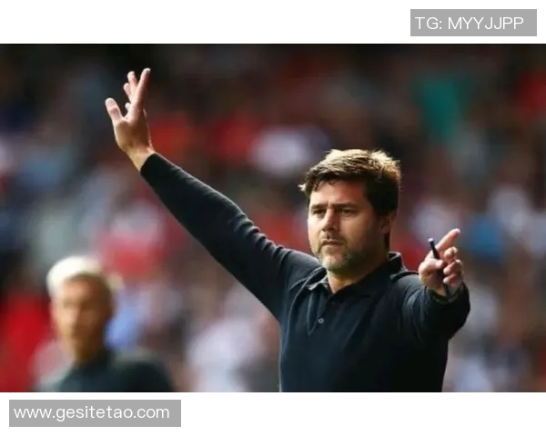 战术革新！新教练如何激活欧洲杯？