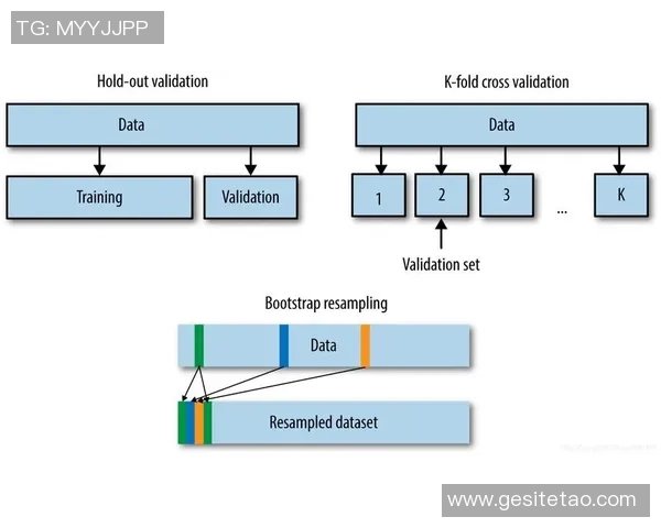 职业棒球联盟中投手疲劳指数模型构建与验证